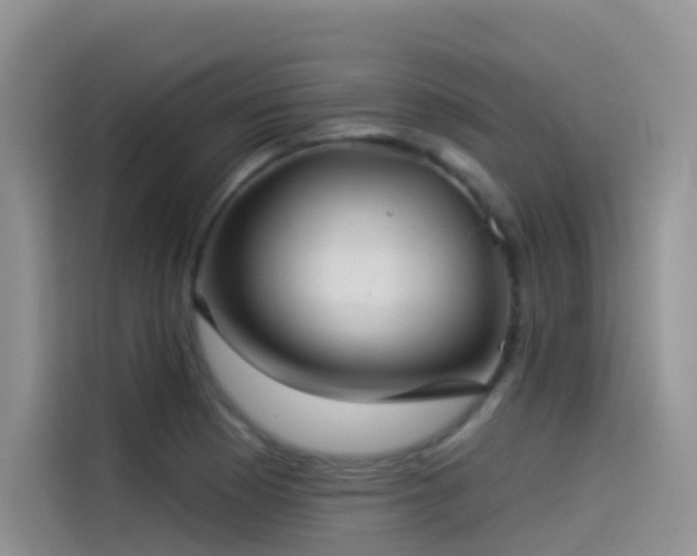 X0000114491177200910191225