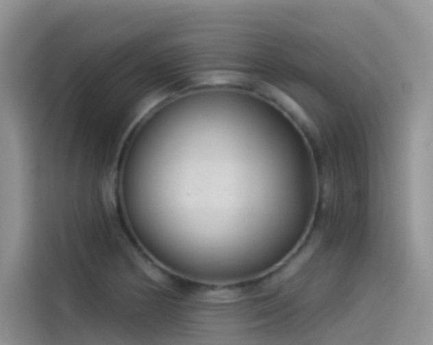 X0000114491178200910191225