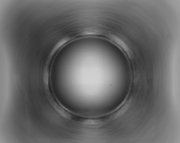 X0000114491179200910191225