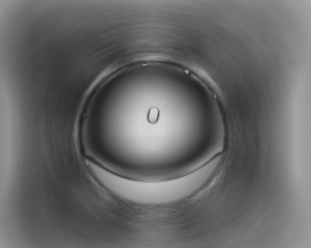 X0000114491181200910191225