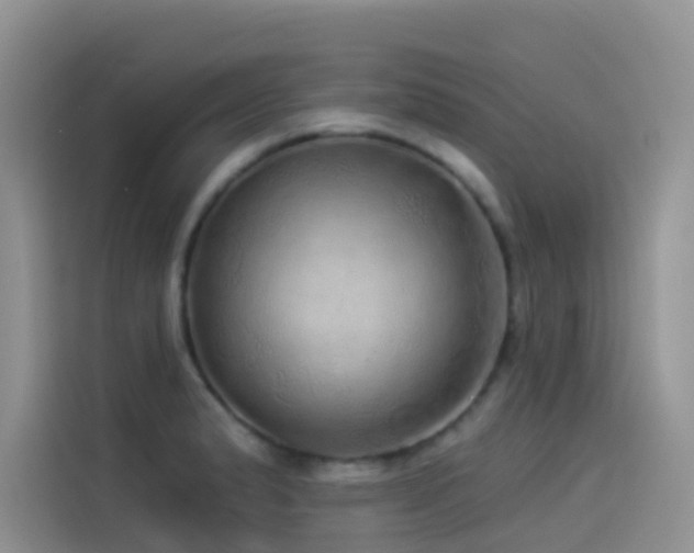 X0000114491183200910191225
