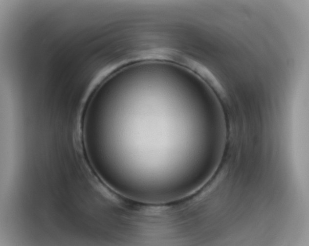 X0000114491184200910191225