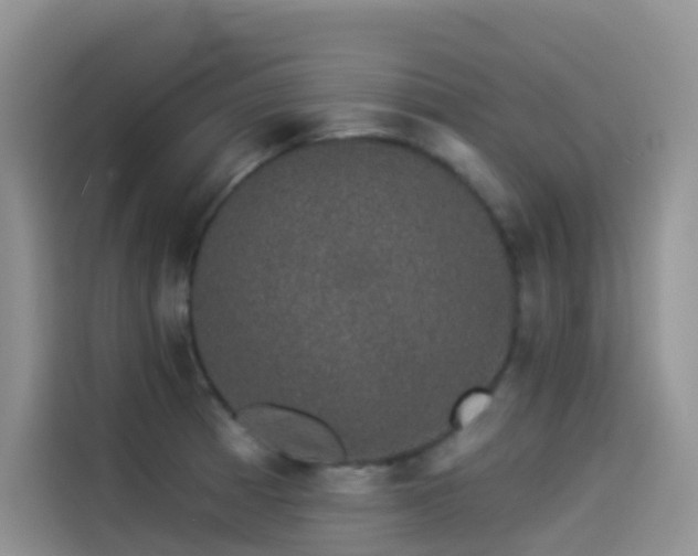 X0000114491185200910191225