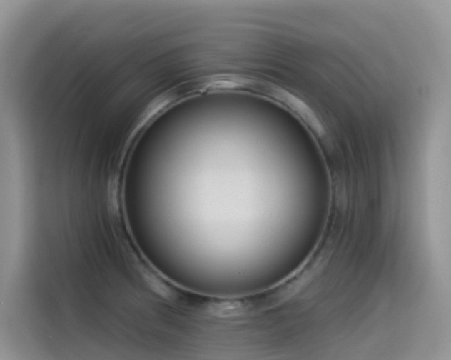 X0000114491186200910191225