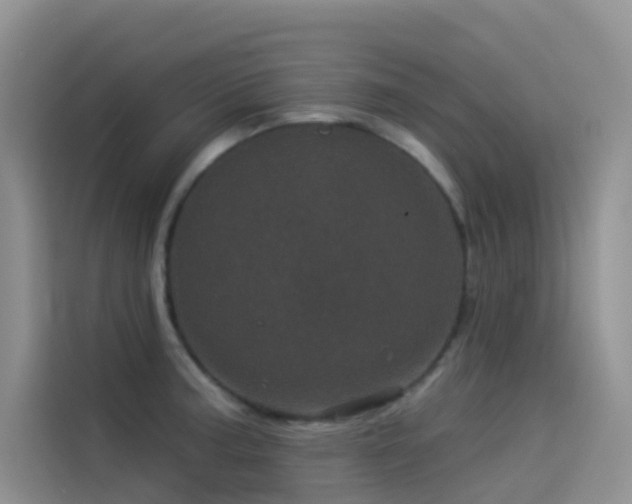 X0000114491187200910191225