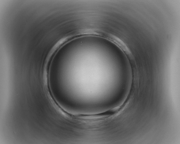 X0000114491188200910191225