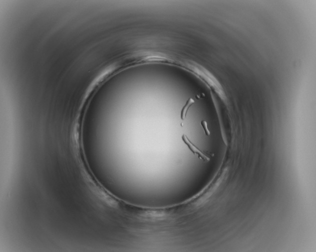 X0000114491190200910191225