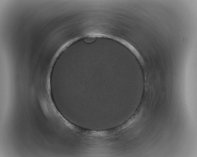 X0000114491191200910191225