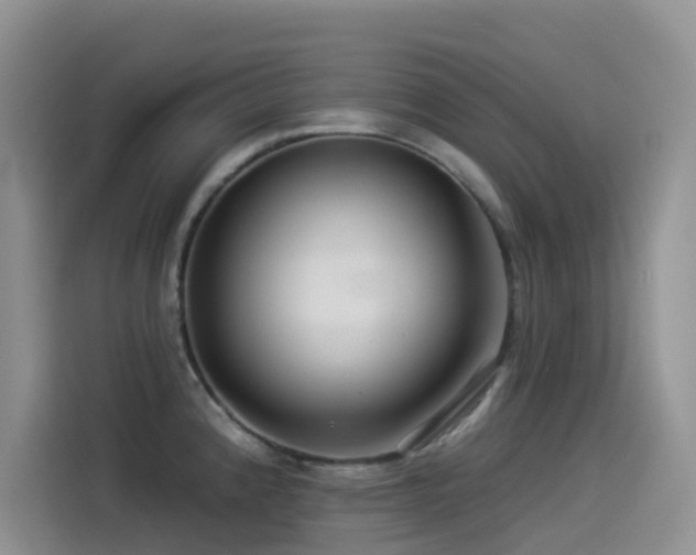 X0000114491192200910191225