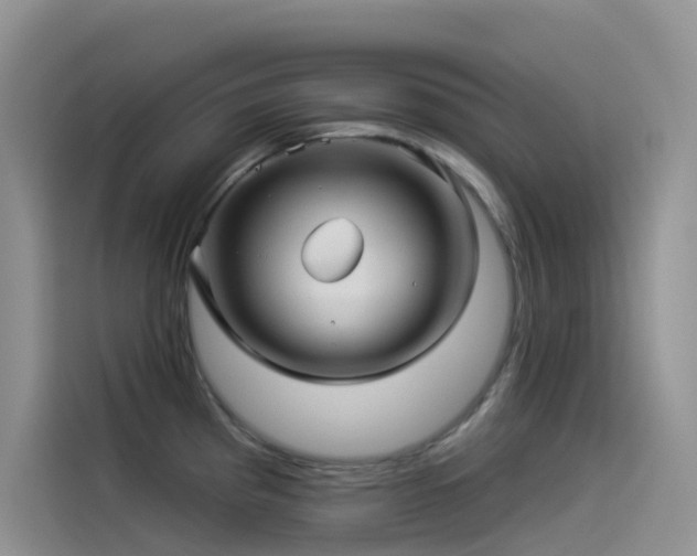 X0000114491193200910191225