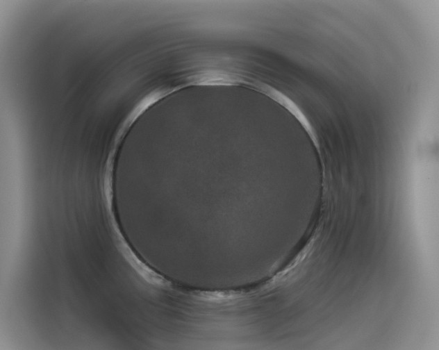 X0000114491195200910191225