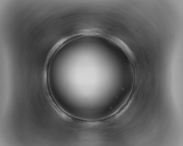 X0000114491196200910191225