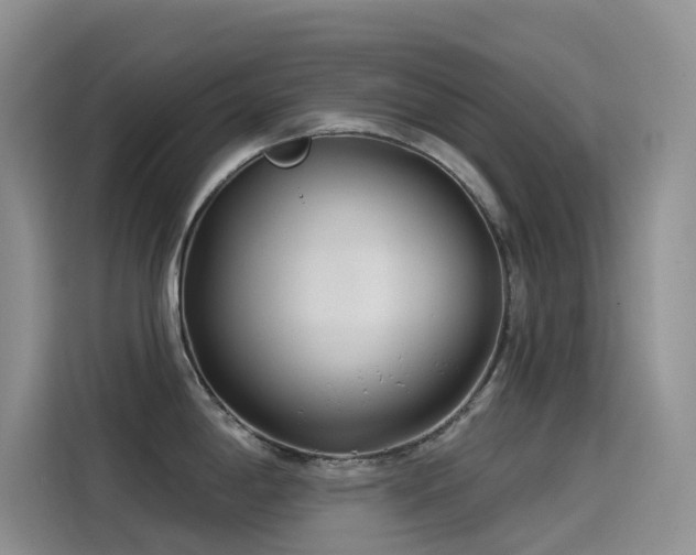 X0000114491198200910191224