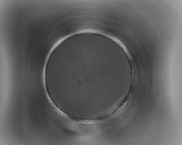 X0000114491199200910191224