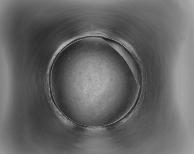 X0000114491200200910191224