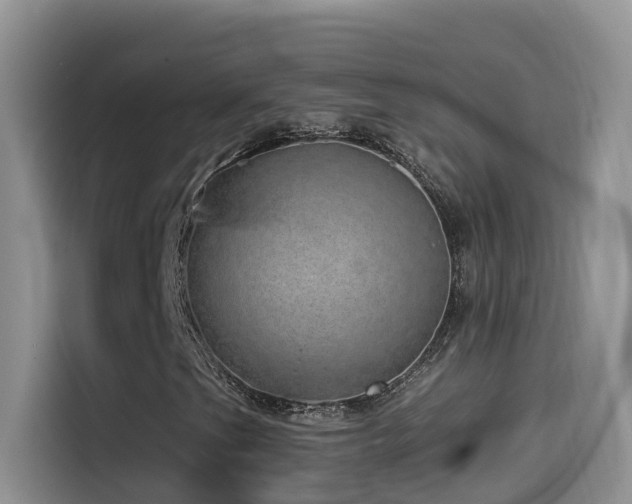 X0000114491201200910191224
