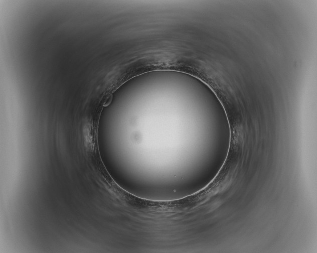 X0000114491202200910191224