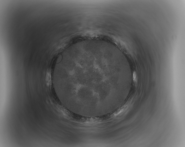 X0000114491203200910191224