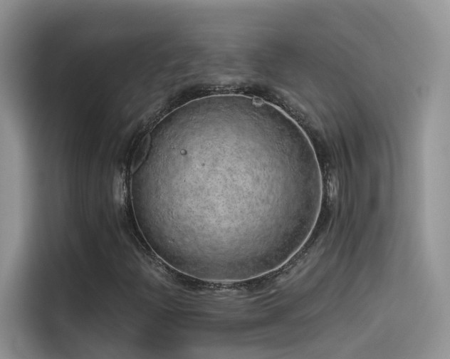 X0000114491204200910191224