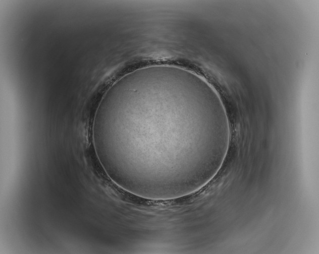 X0000114491205200910191224