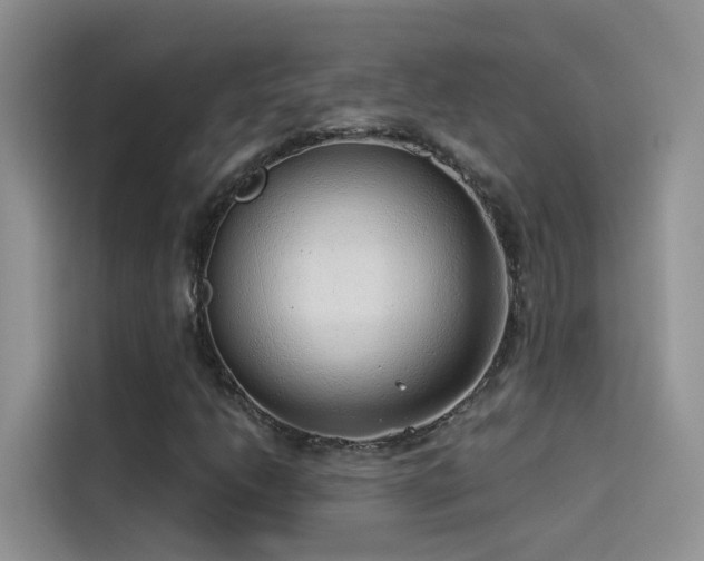X0000114491206200910191224