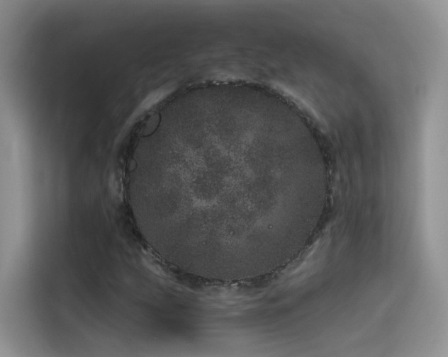 X0000114491207200910191224