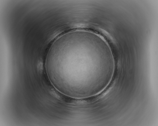 X0000114491209200910191224