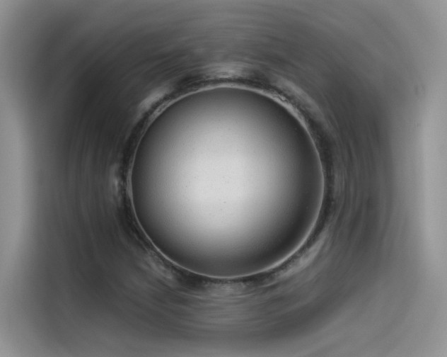 X0000114491210200910191224