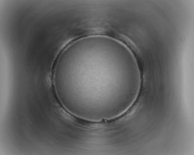 X0000114491212200910191224