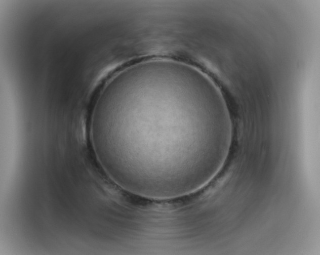 X0000114491214200910191224