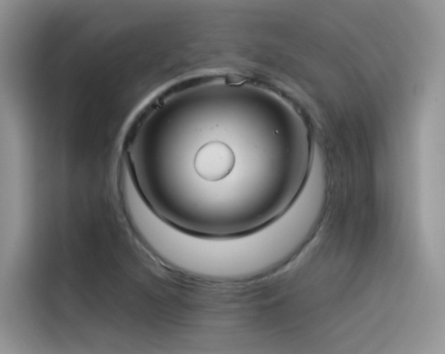 X0000114491216200910191224