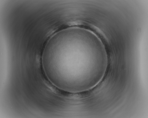 X0000114491217200910191224
