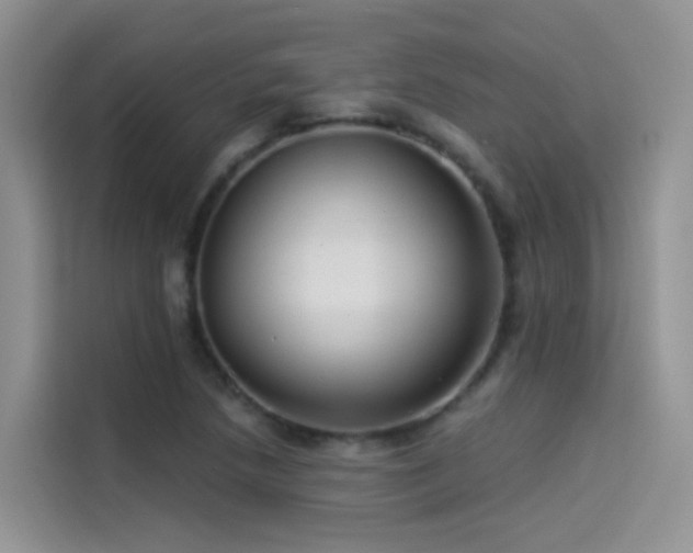 X0000114491218200910191224