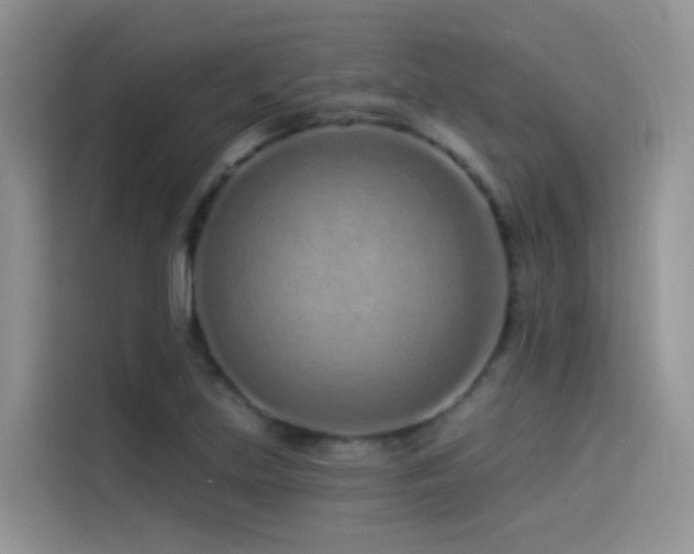X0000114491219200910191224