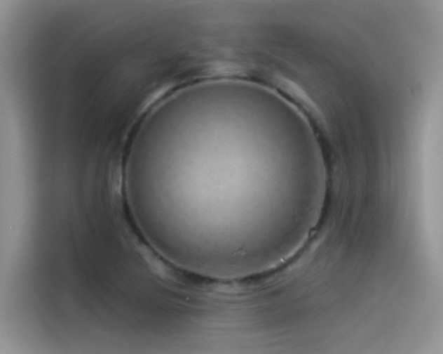 X0000114491220200910191224