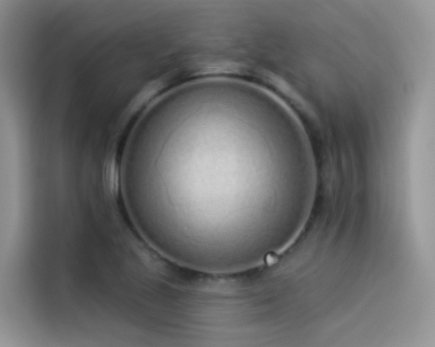 X0000114491221200910191224