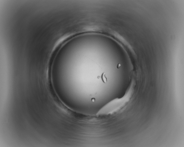 X0000114491222200910191224
