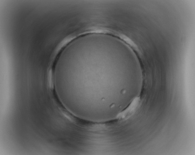 X0000114491223200910191224