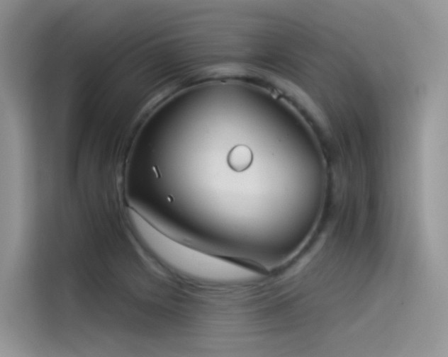 X0000114491225200910191224