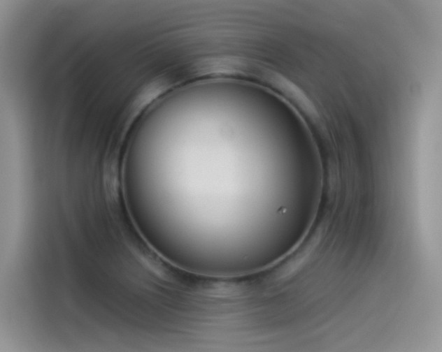 X0000114491226200910191224