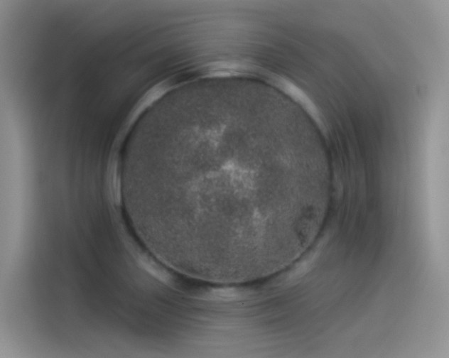 X0000114491227200910191224