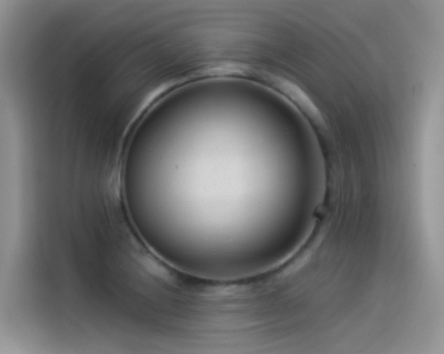 X0000114491228200910191224