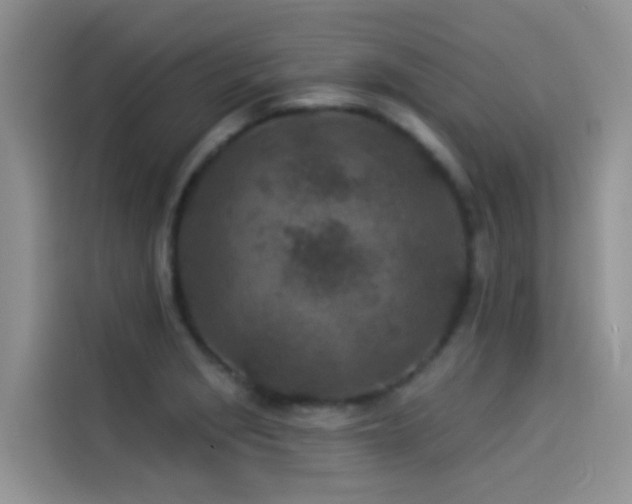 X0000114491229200910191224