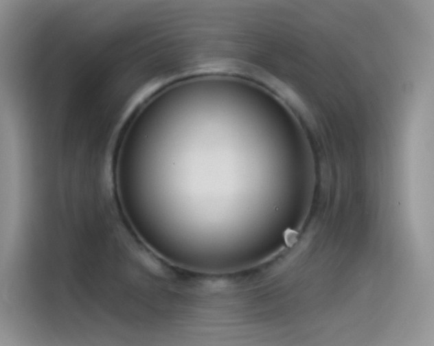 X0000114491230200910191224