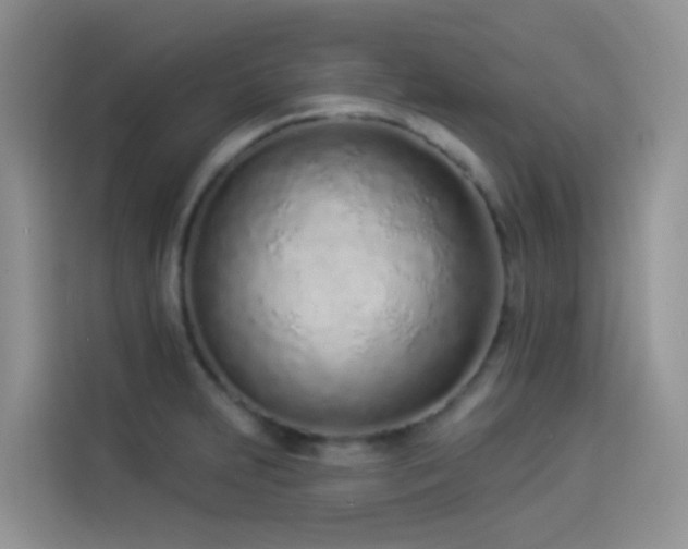 X0000114491231200910191224