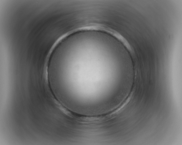 X0000114491232200910191224