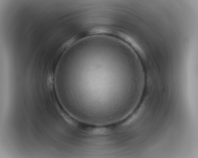 X0000114491233200910191224