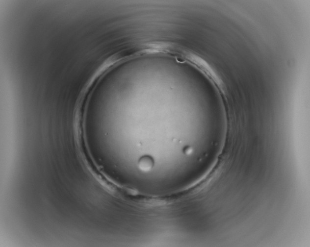 X0000114491235200910191224