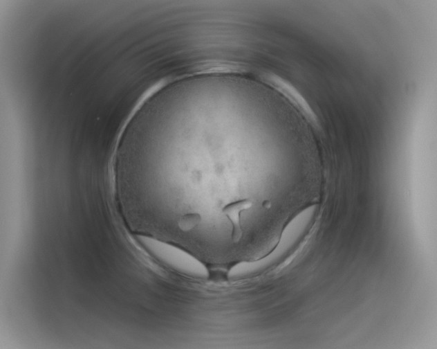 X0000114491236200910191224