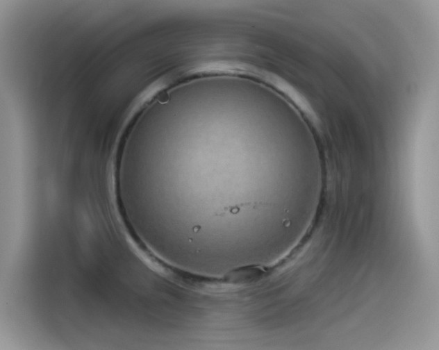 X0000114491237200910191224
